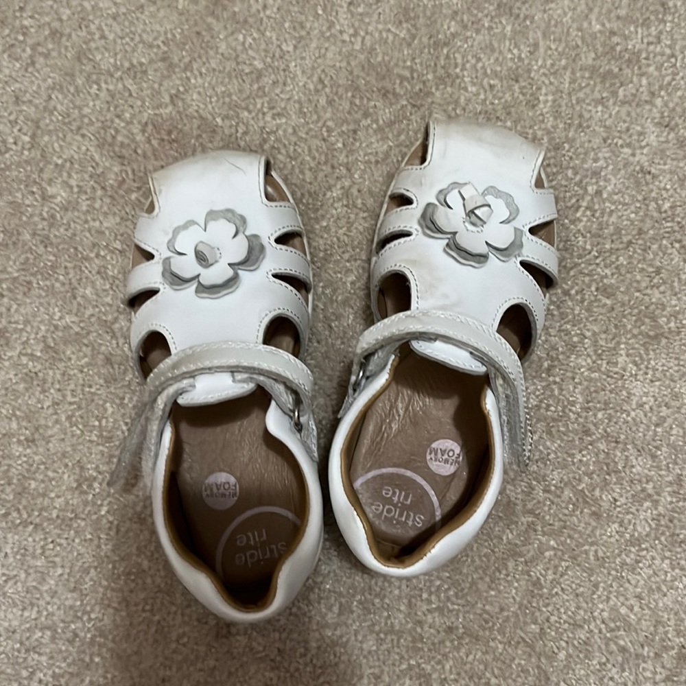 Casual : dress shoe